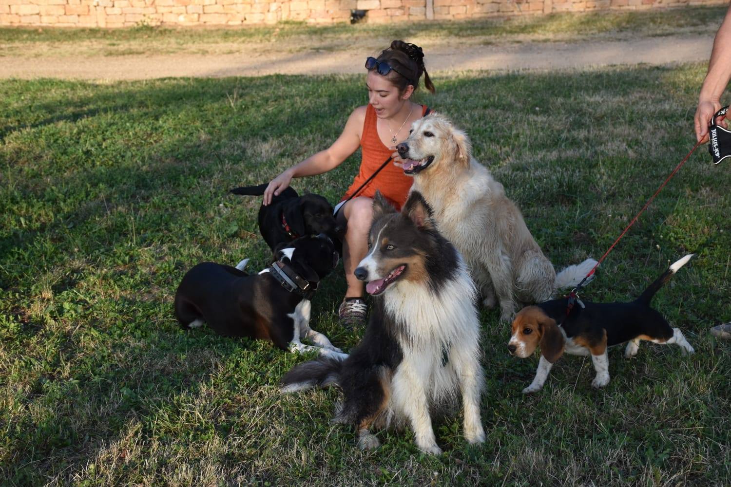 éducation et dressage de chiens Savoie